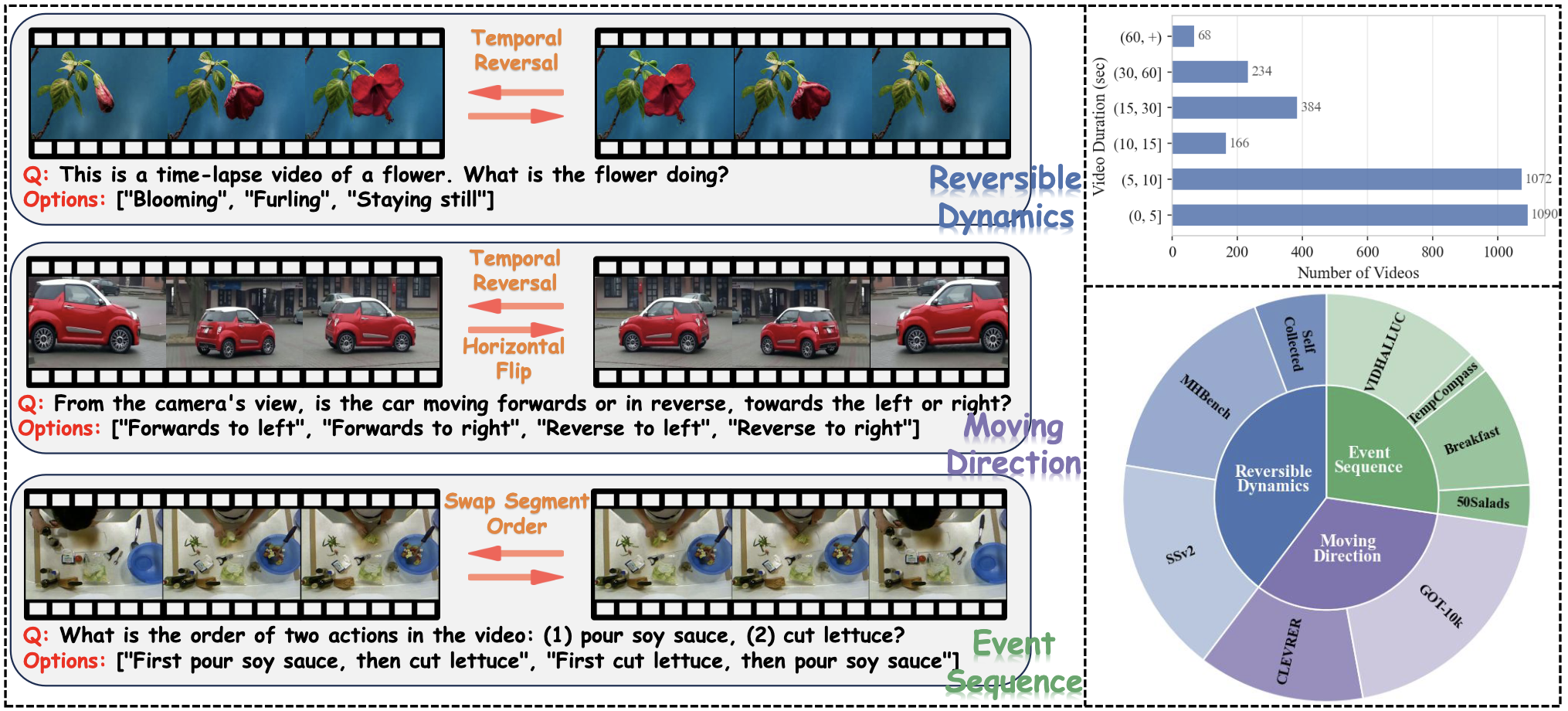 DyBench dataset examples and statistics